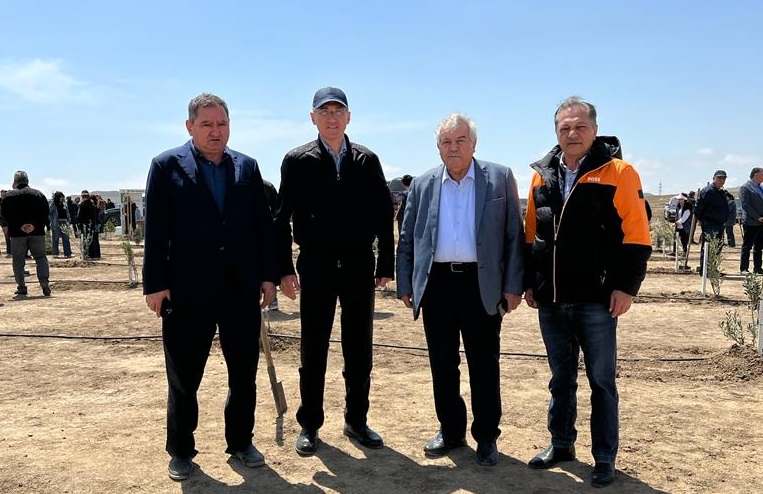 Deputatlar ağacəkmə aksiyasında - FOTOLAR