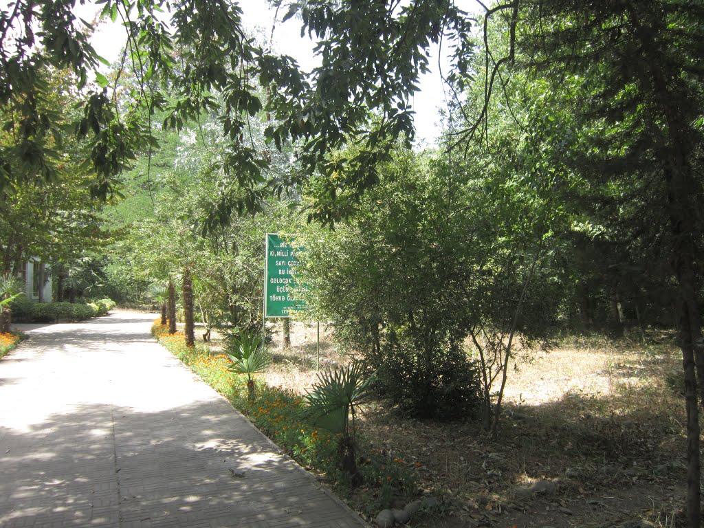 Hirkan Milli Parkında aparılan monitorinqin nəticələri