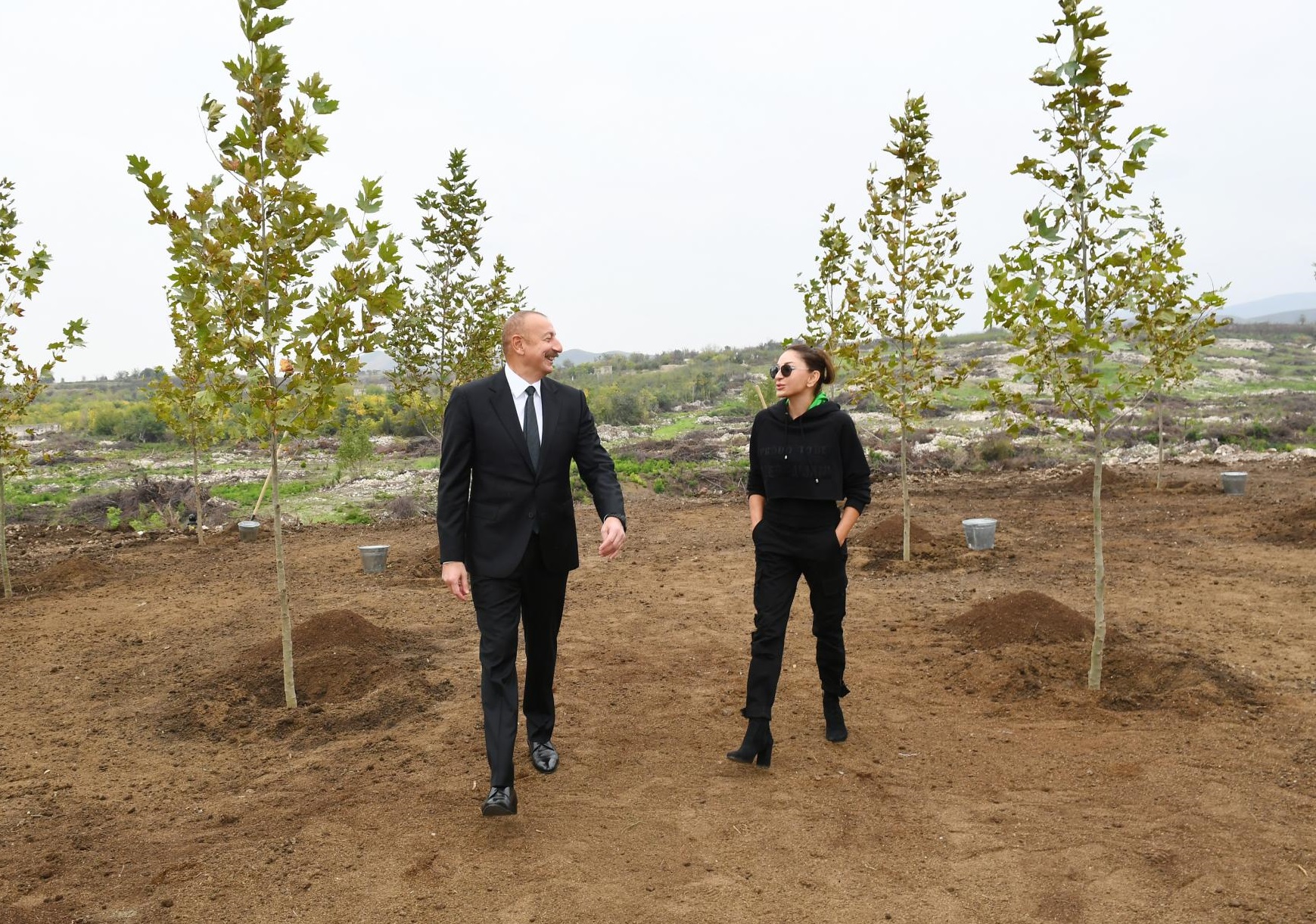 Ankaradakı qoşa çinarlar… - FOTOLAR 