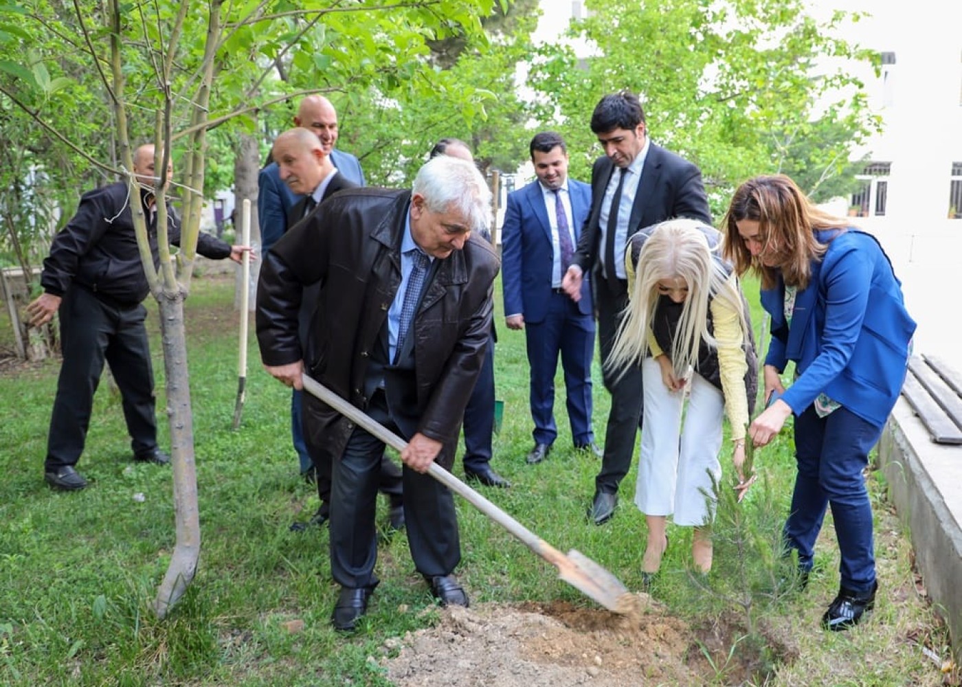 ADU-da ağacəkmə aksiyası - FOTOLAR