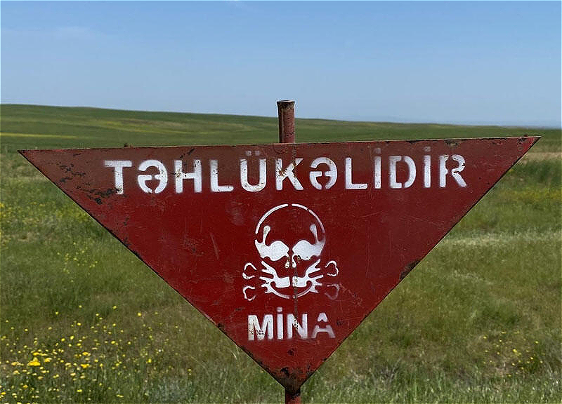 Görünməz “qatil” – Bu bəladan necə xilas ola bilərik…