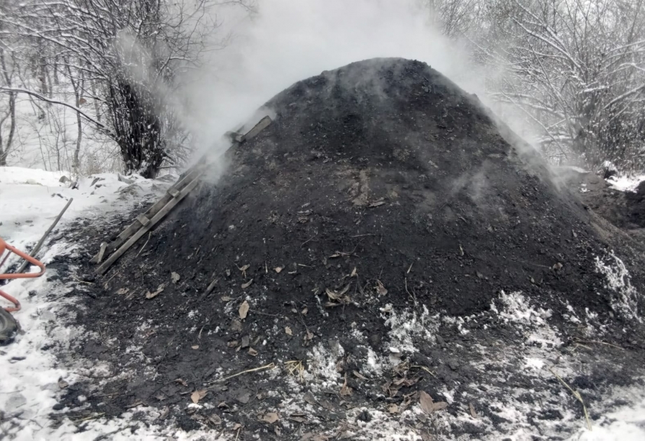 Bu rayonlarda kömür quyuları aşkarlandı