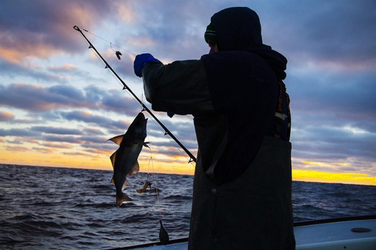 Balıq ovlayanlar SAXLANILDI