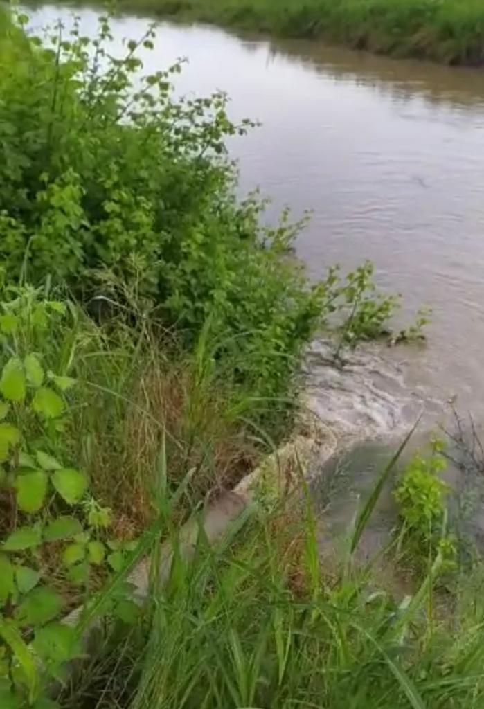 Astarada evləri su basıb - VİDEO