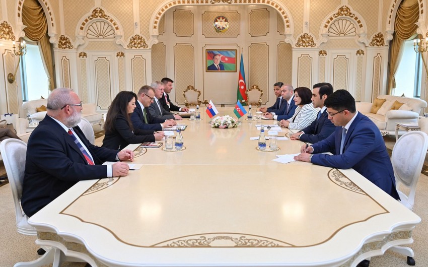Azərbaycan və Slovakiya spikerləri arasında görüş
