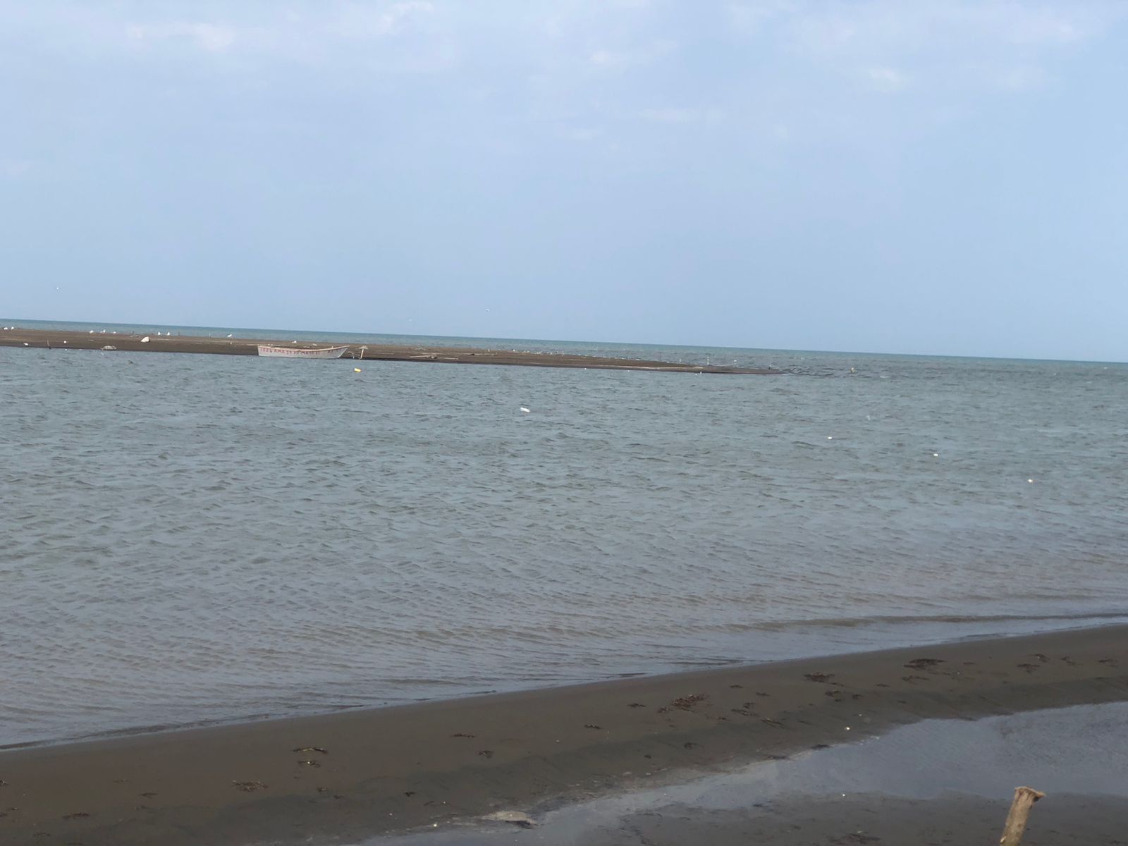 Neftçalada dənizkənarı ərazilər səhralaşa bilər - Alimlərdən xəbərdarlıq