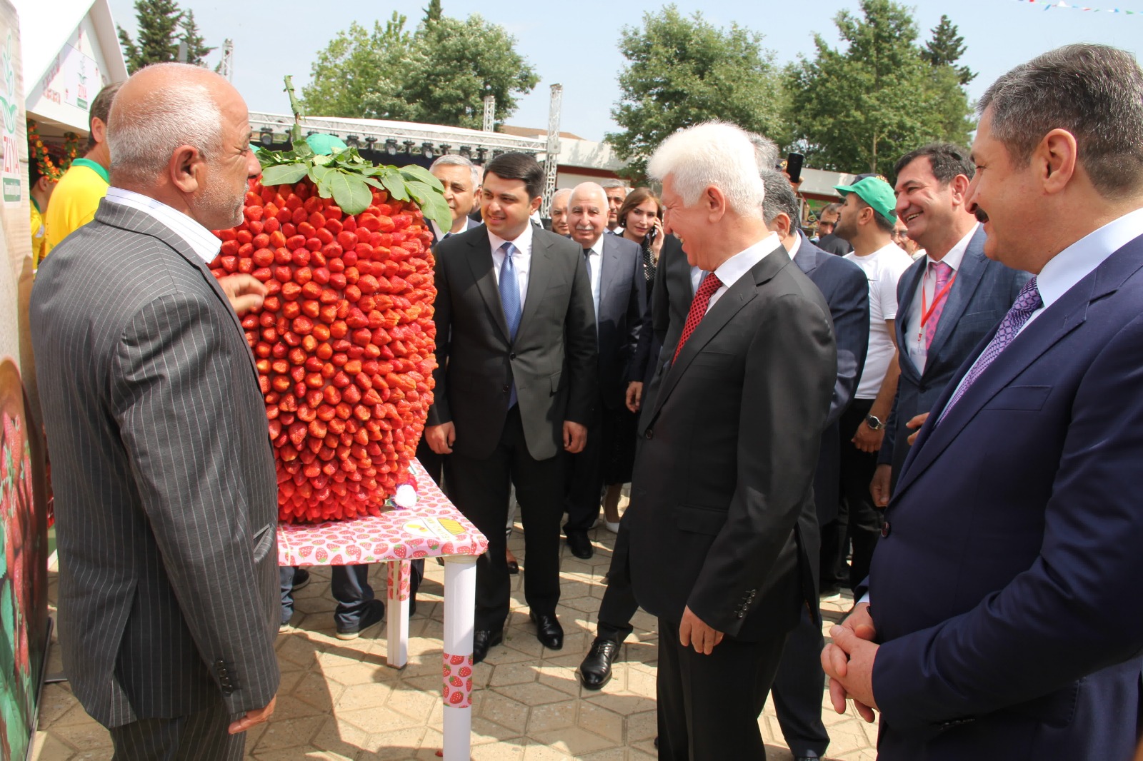 Cəlilabadda çiyələk festivalı keçirilir - FOTOLAR