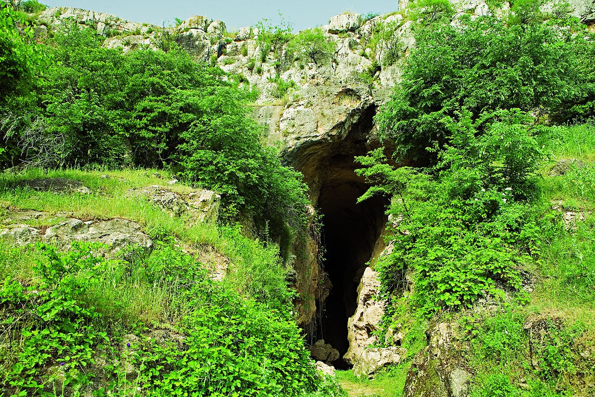 Azıx mağarasında tədqiqat aparılacaq - İşçi Qrupu yaradıldı