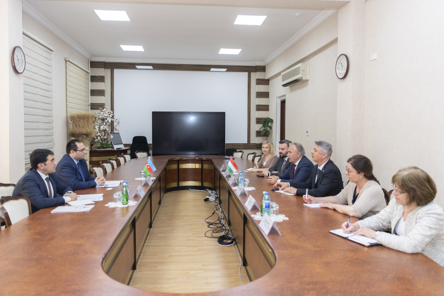 Məcnun Məmmədov macarıstanlı nazirlə görüşdü