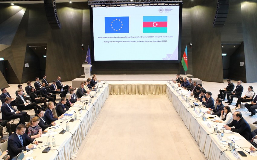 Avropa şirkətlərinin Qarabağa cəlb olunması müzakirə edildi