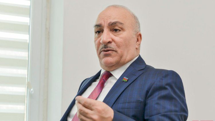 Ağcaqanad əlindən dayanmaq olmur - Tahir Kərimli şikayətləndi