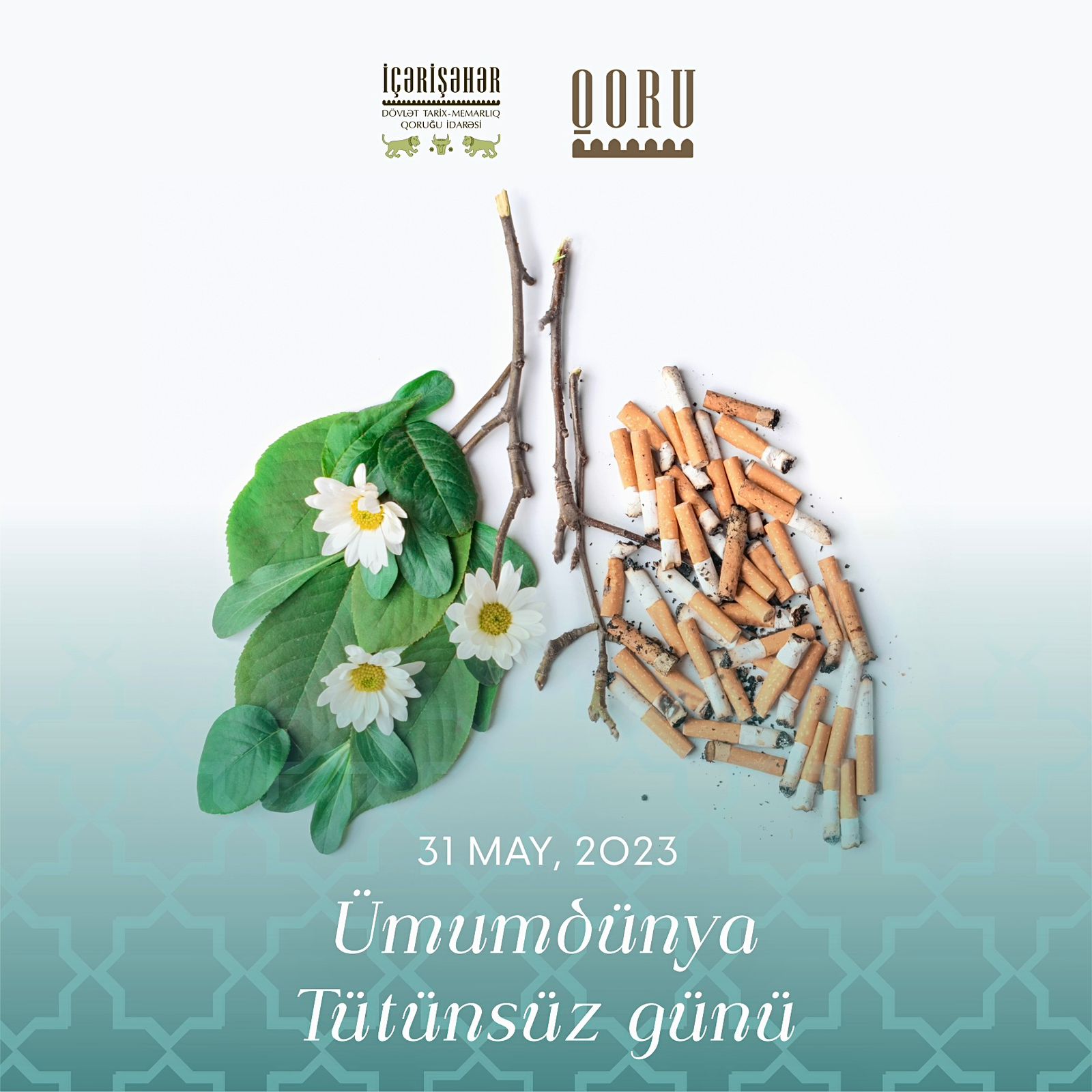 İçərişəhərdə Ümumdünya Tütünsüz Günü qeyd edilib