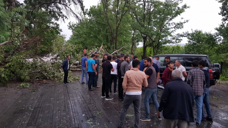 Güclü küləkdən xəsarət alanlar var - TƏBİB