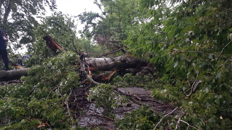 Göyçaya işıq verilməsi dayandırıldı