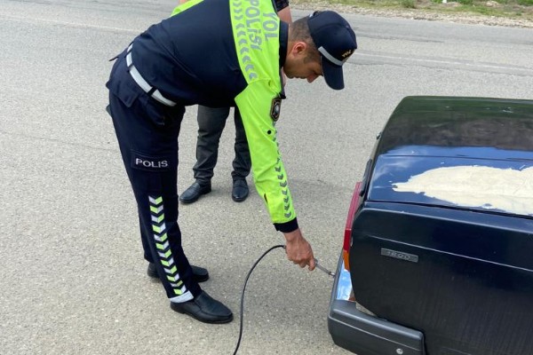 “Təmiz hava” aylığı davam edir - FOTO