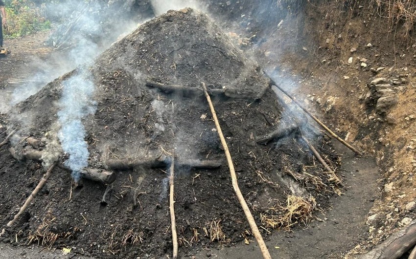 İsmayıllıda qanunsuz kömür istehsalı faktları aşkarlandı