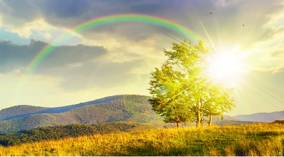 Sabah 36 dərəcə isti olacaq - Proqnoz