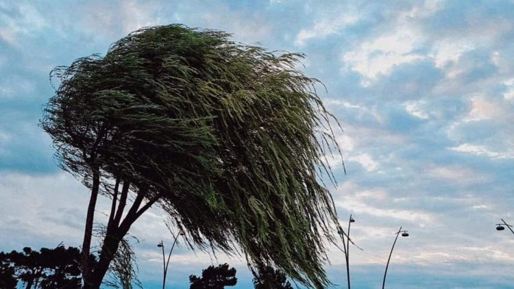 FHN-dən hava şəraiti ilə əlaqədar əhaliyə müraciət