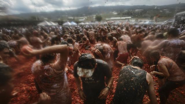Bir-birilərinə 40 ton pomidor atdılar - FOTO