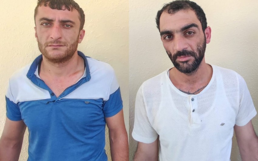 Lerikdə külli miqdarda nakotik aşkarlandı