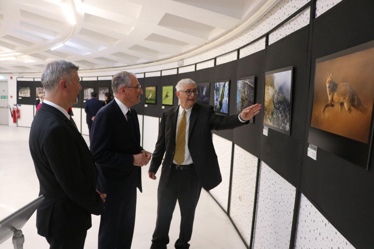 Bakıda “Təbiət möcüzələri” - FOTOLAR