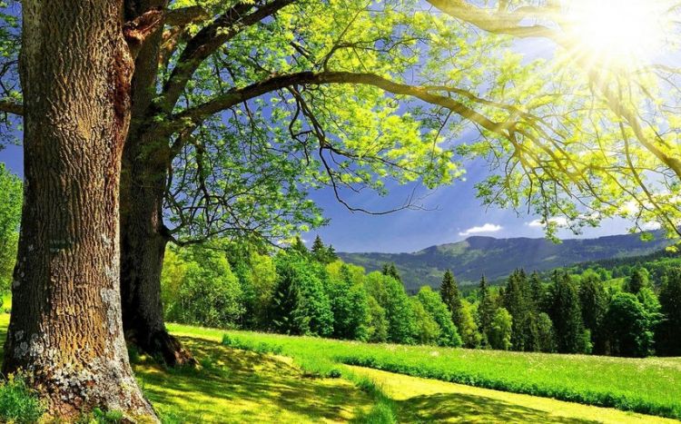 Sabah 35 dərəcə isti olacaq