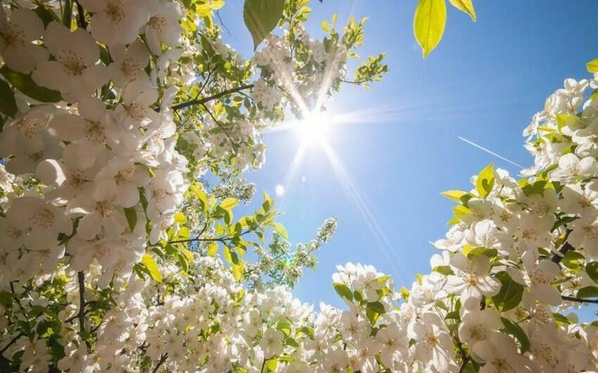 Bu gün hava necə olacaq? - PROQNOZ