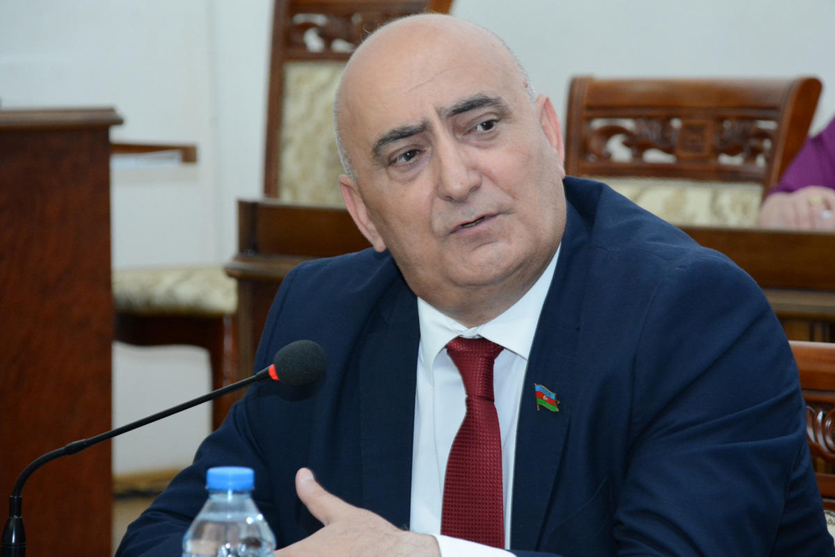 Qanunsuz bir quşun belə uçmasına icazə verməməliyik - Deputat