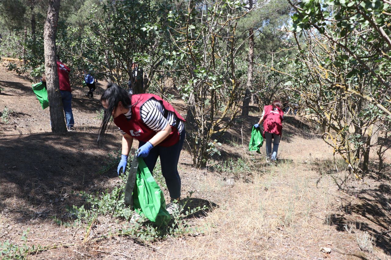 Meşələri, dəniz sahillərini, çay hövzələrini çirkləndirməyək