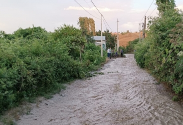 Tovuzda sel fəsadlar törətdi - FOTOLAR