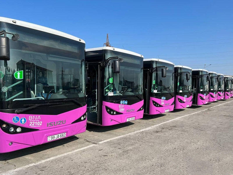 Tıxaca görə avtobuslar parklarda saxlanılır - Agentlik sədri