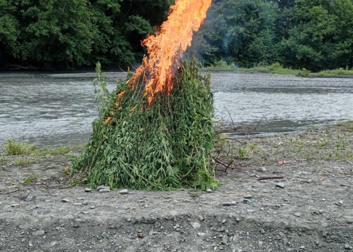 Balakəndə “Xaş-xaş” əməliyyatı