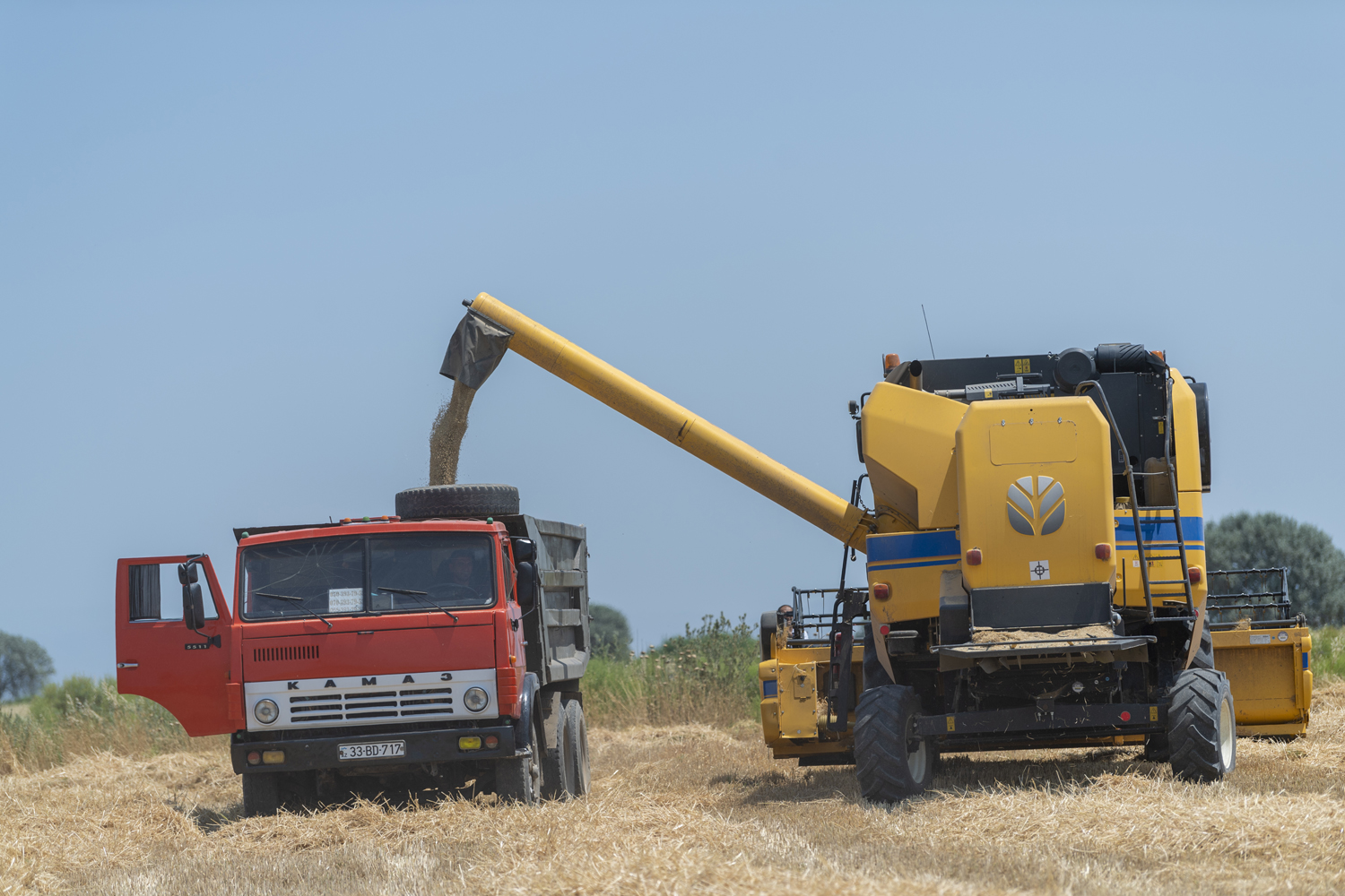 Taxıl zəmilərindən 1 milyon tondan çox məhsul yığılıb - FOTOLAR