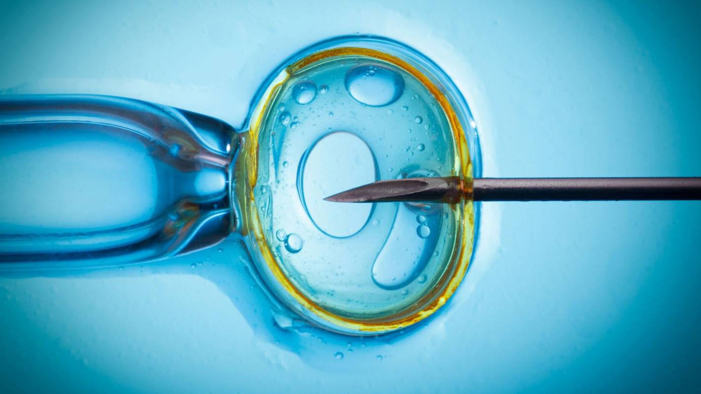 Süni mayalanmadan doğulan uşaqlar - Hər ay 300-dən çox...