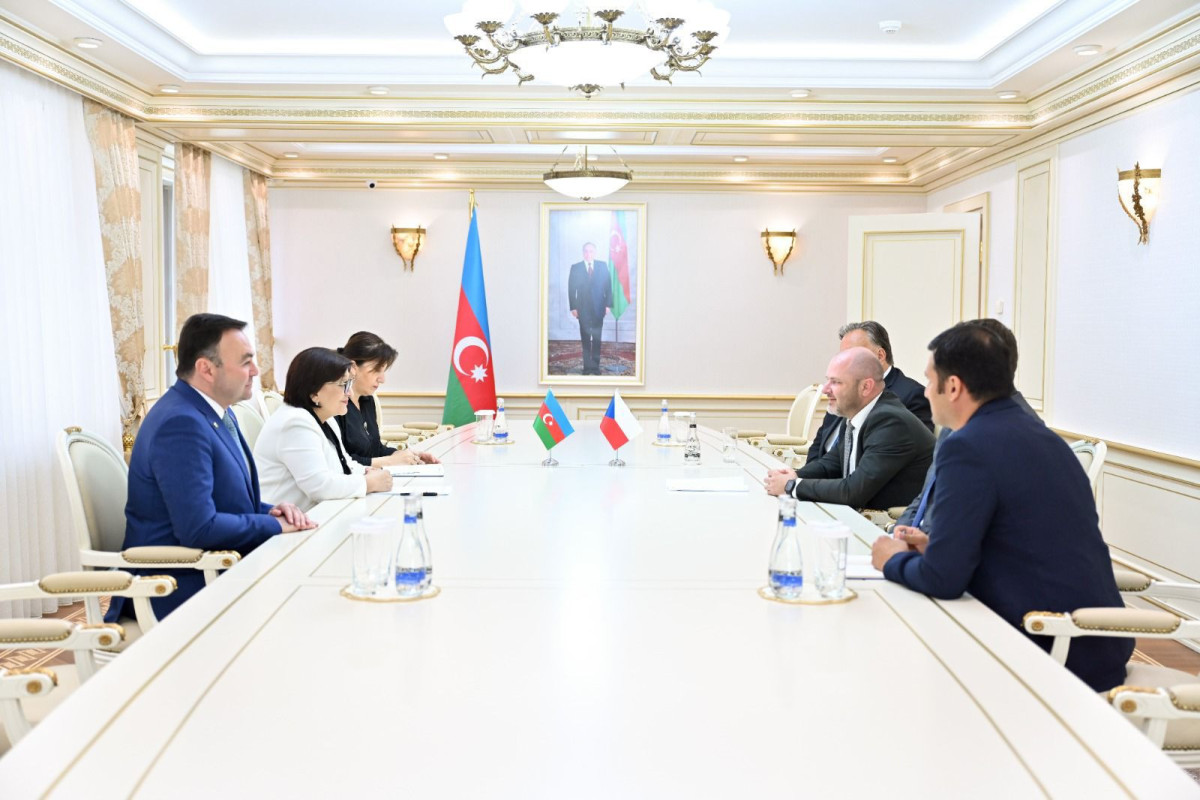 Sahibə Qafarova çexiyalı deputatlarla görüşdü