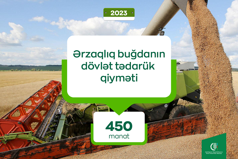 Ərzaqlıq buğdanın qiyməti 22% azaldılıb