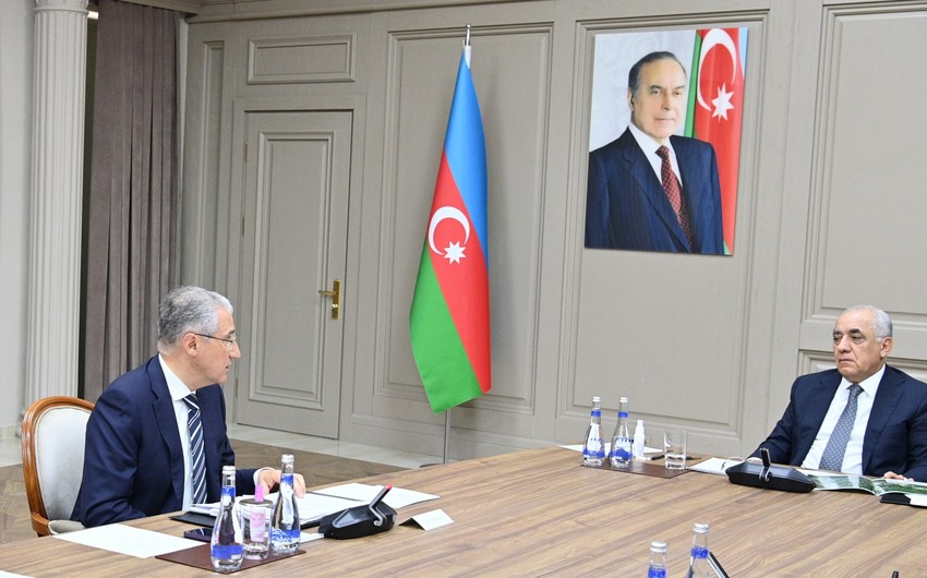 Əli Əsədov Söyüdlü ilə bağlı nazirə TAPŞIRIQ VERDİ