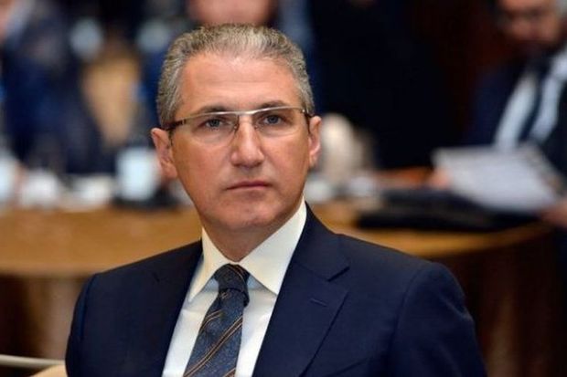 Söyüdlüyə görə yaradılan komissiya hansı işləri görüb? - Nazir açıqladı