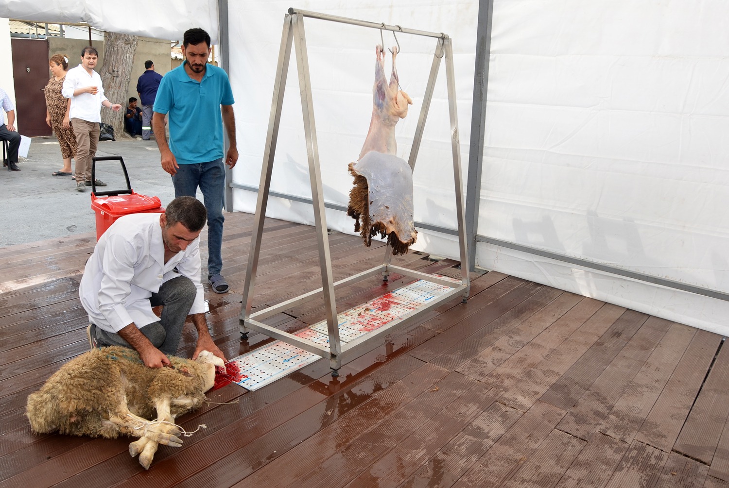 Pirallahı rayonunda qurbanlar kəsildi - FOTOLAR