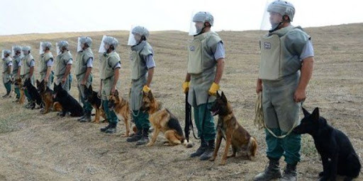 ANAMA-da işləmək istəyənlərin NƏZƏRİNƏ