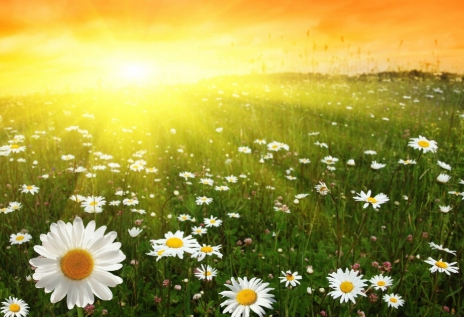 36 dərəcə isti olacaq - Günün havası