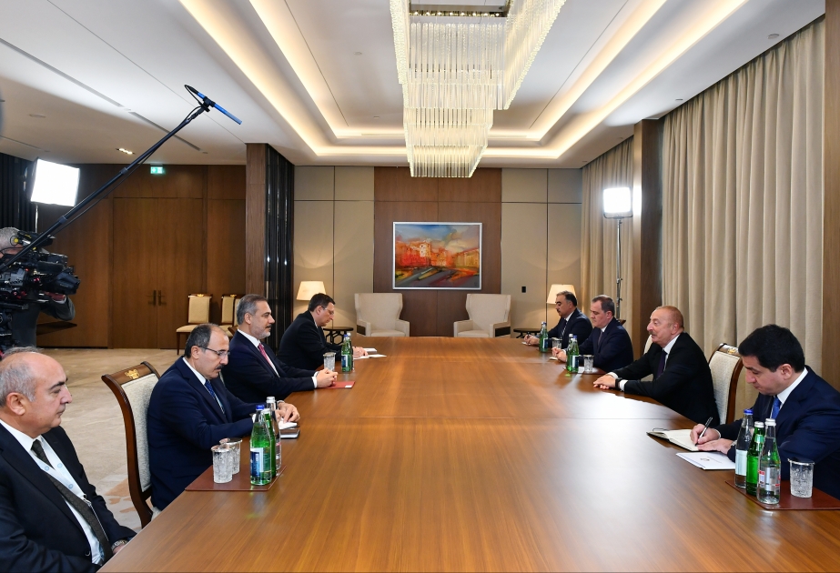 Prezident Hakan Fidanı qəbul edib