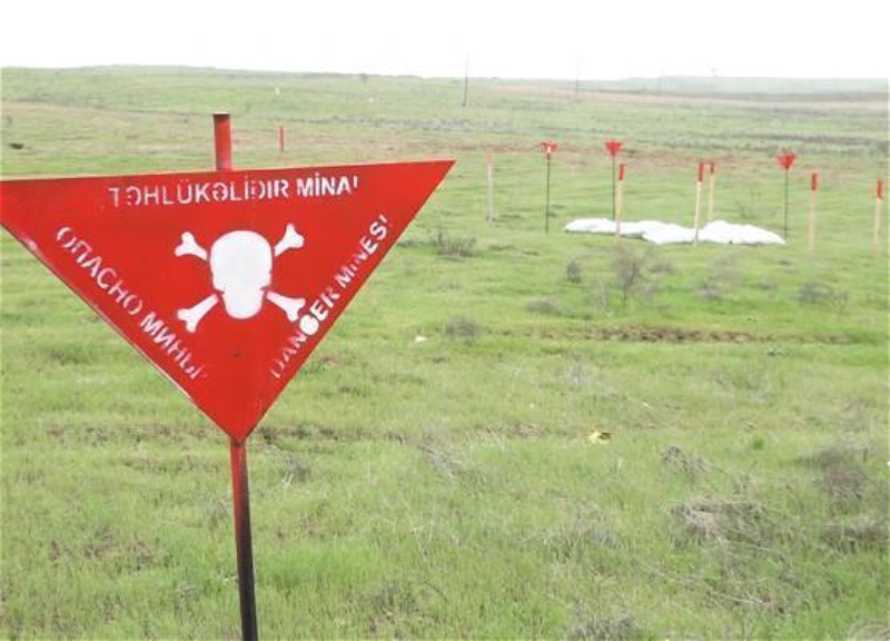 Azad olunmuş ərazilərdə iyunda 305 mina aşkarlanıb