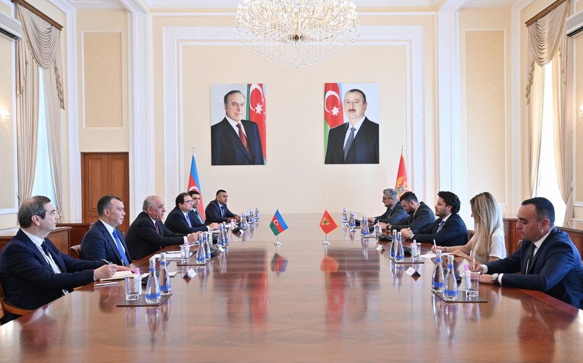 Əli Əsədov həmkarı ilə danışıqlar apardı 