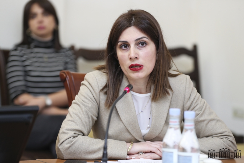 Erməni nazir qızılcaya görə qonşuları günahlandırdı