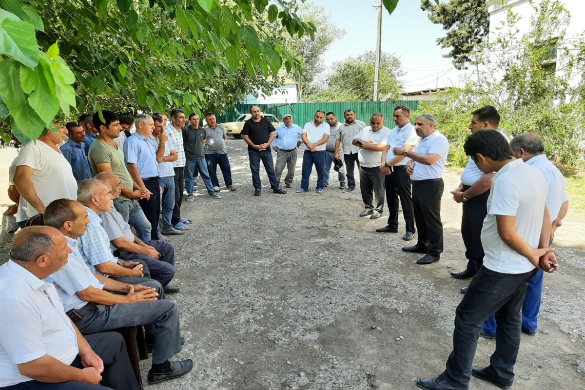 “Açıq mikrofon” aksiyası Saatlıda - FOTOLAR