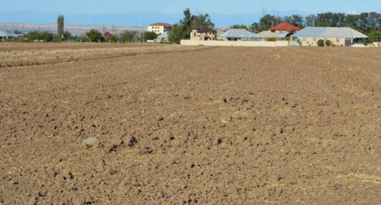 Qanunsuz verilən 5 min hektar torpaq sahəsi geri qaytarıldı