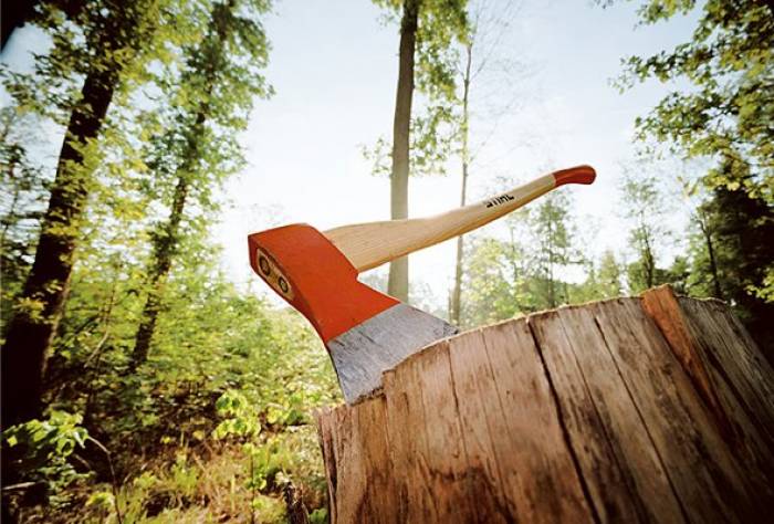 Təbiətə vurulmuş ziyanla bağlı 1,5 milyonluq ödəmə