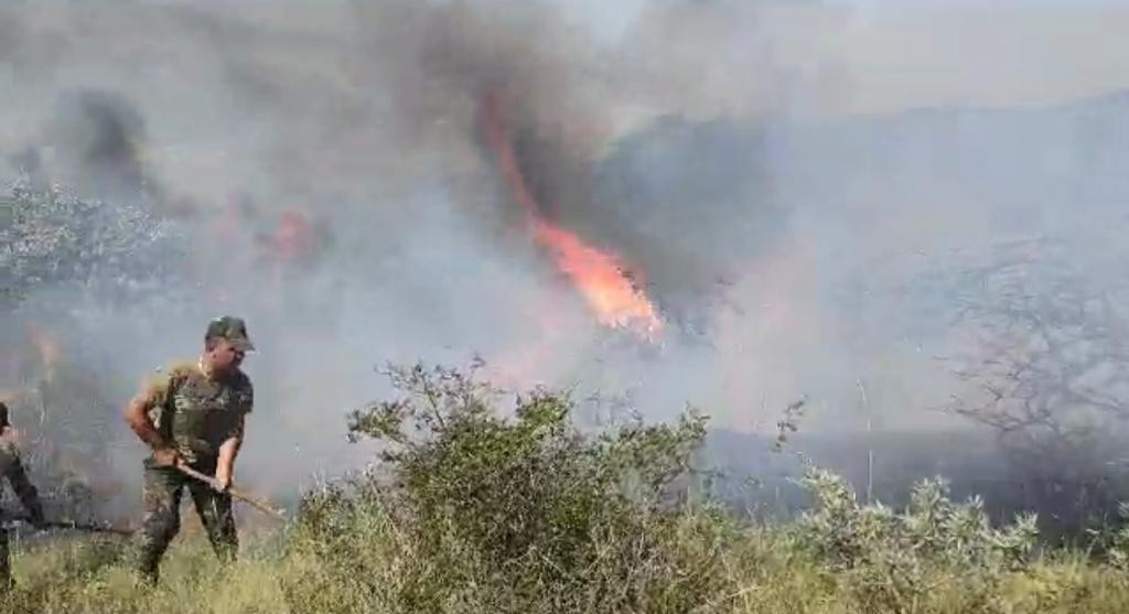 FHN Xızıdakı yanğını tam nəzarətə götürdü