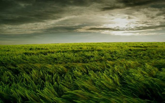 Temperatur düşəcək, güclü külək əsəcək - XƏBƏRDARLIQ